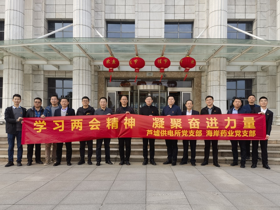 學(xué)習(xí)兩會(huì)精神 凝聚奮進(jìn)力量 ——蘆墟供電所黨支部與江蘇海岸藥業(yè)黨支部開展黨建共建活動(dòng)